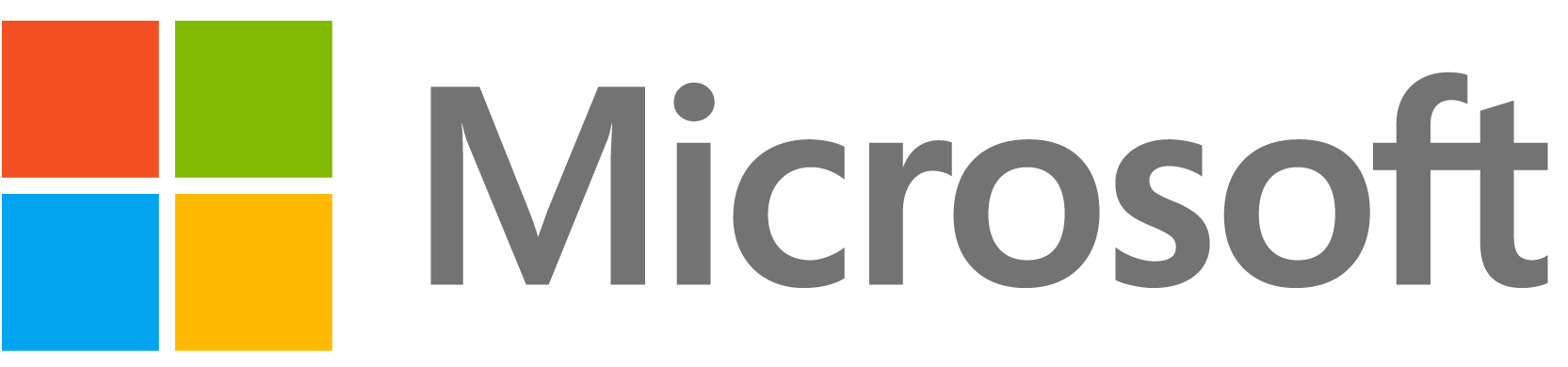 Microsoft text logo